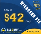 SSL2BUY oferuje AlphaSSL wieloznaczną @ $42/Yr