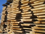 Sprzedaż drewna użytkowego i opałowego.