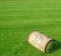 Zakładanie trawnika już od 4zł/m2