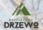 Alpinistyczna wycinka drzew w Gliwicach i wszystkich miastach na Śląsku