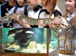 Atrakcje kaszuby Zoo
