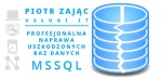 Naprawa bazy danych MSSQL, baz Płatnika, Wapro, Insert, inne