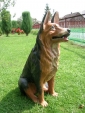 Pies figura do ogrodu rzeźba architektura betonowa
