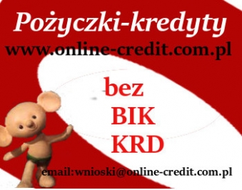 Pożyczka przez internet bez BIK I KRD