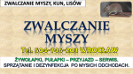 Zwalczanie myszy, Wrocław. tel. 504-746-203 Likwidacja