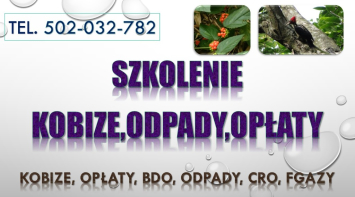 Obowiązki z ochrony środowiska, tel. 504-746-203. Szkolenie, pomoc