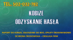 Odzyskanie dostępu do Kobize, tel. 504-746-203. Pomoc w odzyskaniu hasła.