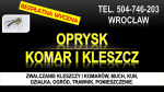 Opryski na komary, Wrocław, tel. 504-746-203. Zwalczanie komarów na działce
