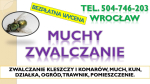 Likwidacja much dezynfekcja, tel. 504-746-203, Wrocław. Zwalczanie insektów