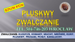 Dezynfekcja na pluskwy, cennik, tel. 504-746-203, Wrocław