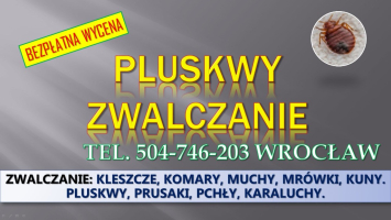 Dezynfekcja na pluskwy, cennik, tel. 504-746-203, Wrocław