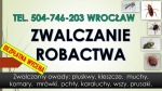Zwalczanie robactwa cena, tel. 504-746-203, Wrocław