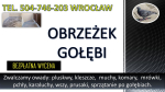 Obrzeżek gołębi, dezynfekcja tel. 504-746-203, Wrocław