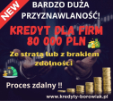 Kredyt dla FIRM 80 000 PLN ze stratą/z brakiem zdolności