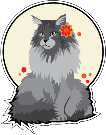 Koty z azylu do bezpłatnej adopcji!