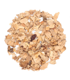 Aromatyczne grzyby smardze – Planteon