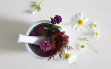 Jak prawidłowo przygotować zioła? Praktyczny poradnik od Lekinatury.pl