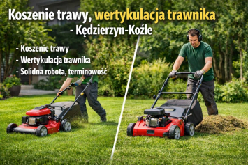 Koszenie trawy i wertykulacja trawnika  Kędzierzyn-Koźle